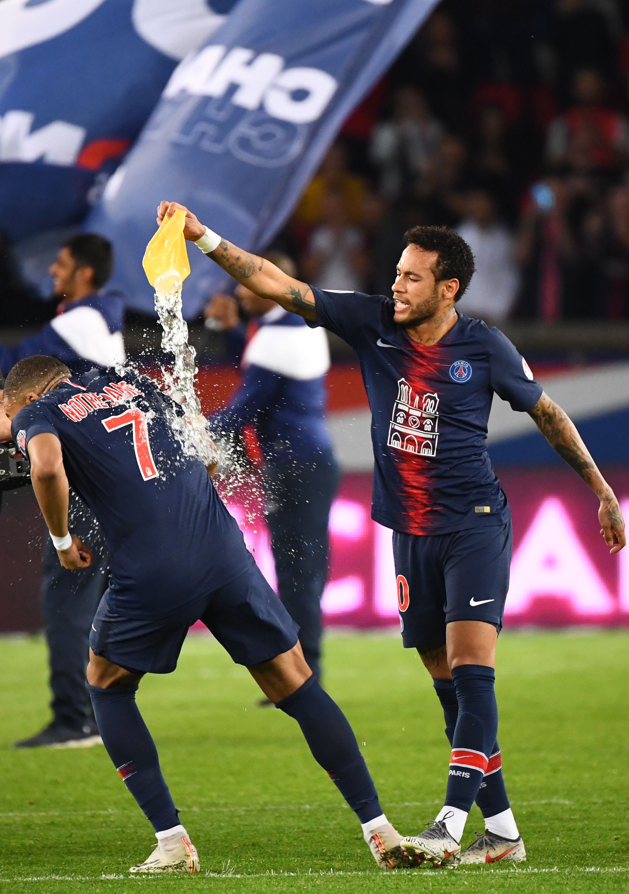 你会发现 你会发现